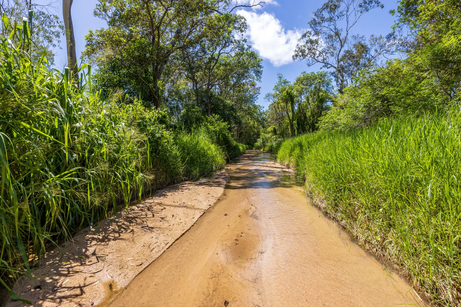 Additional image 17 of 3353 Hervey Range Road, Hervey Range QLD 4817