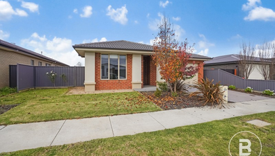 Picture of 15 Offaly Street, ALFREDTON VIC 3350