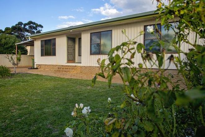 Picture of 10 Daw Street, RAVENSTHORPE WA 6346