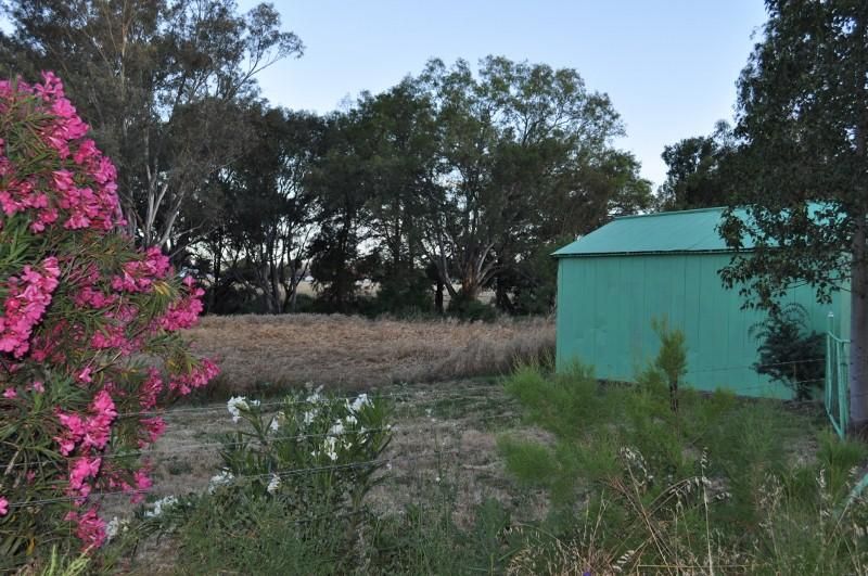 Lot 162 North Street, EUGOWRA NSW 2806, Image 0