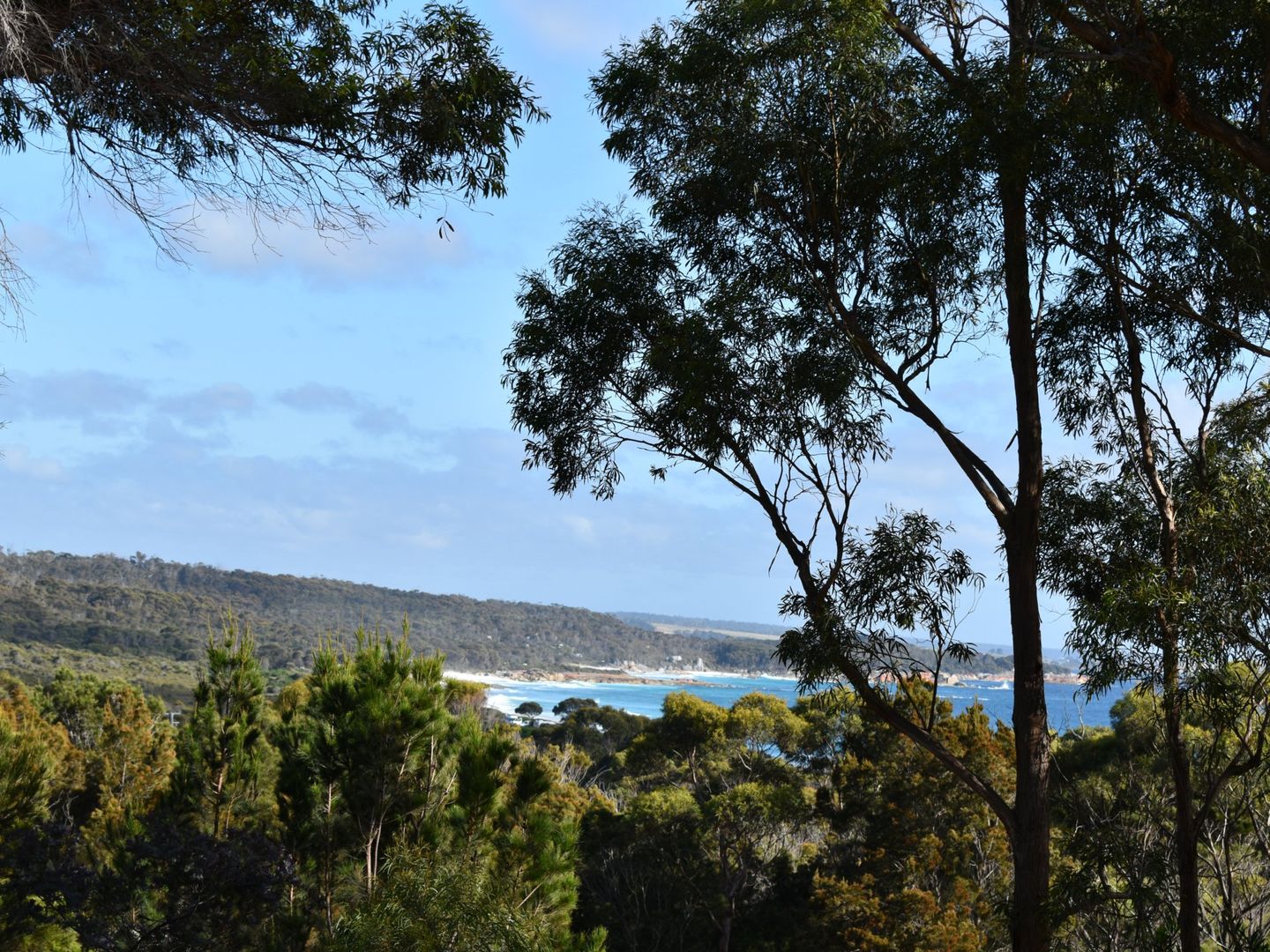 304 Gardens Road, Binalong Bay TAS 7216 House For Rent Domain