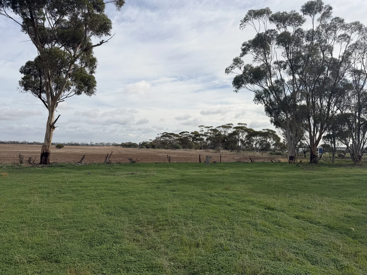 Image 10