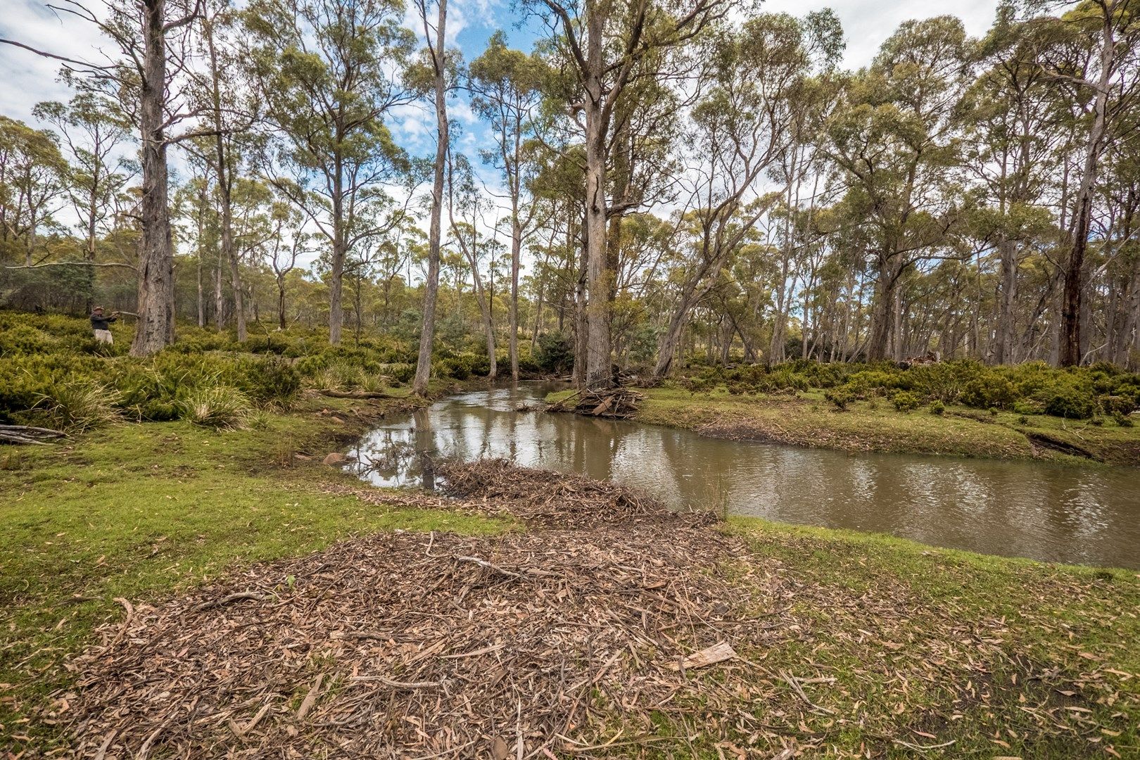 4774 Highlands Lake Road, Bothwell TAS 7030, Image 0