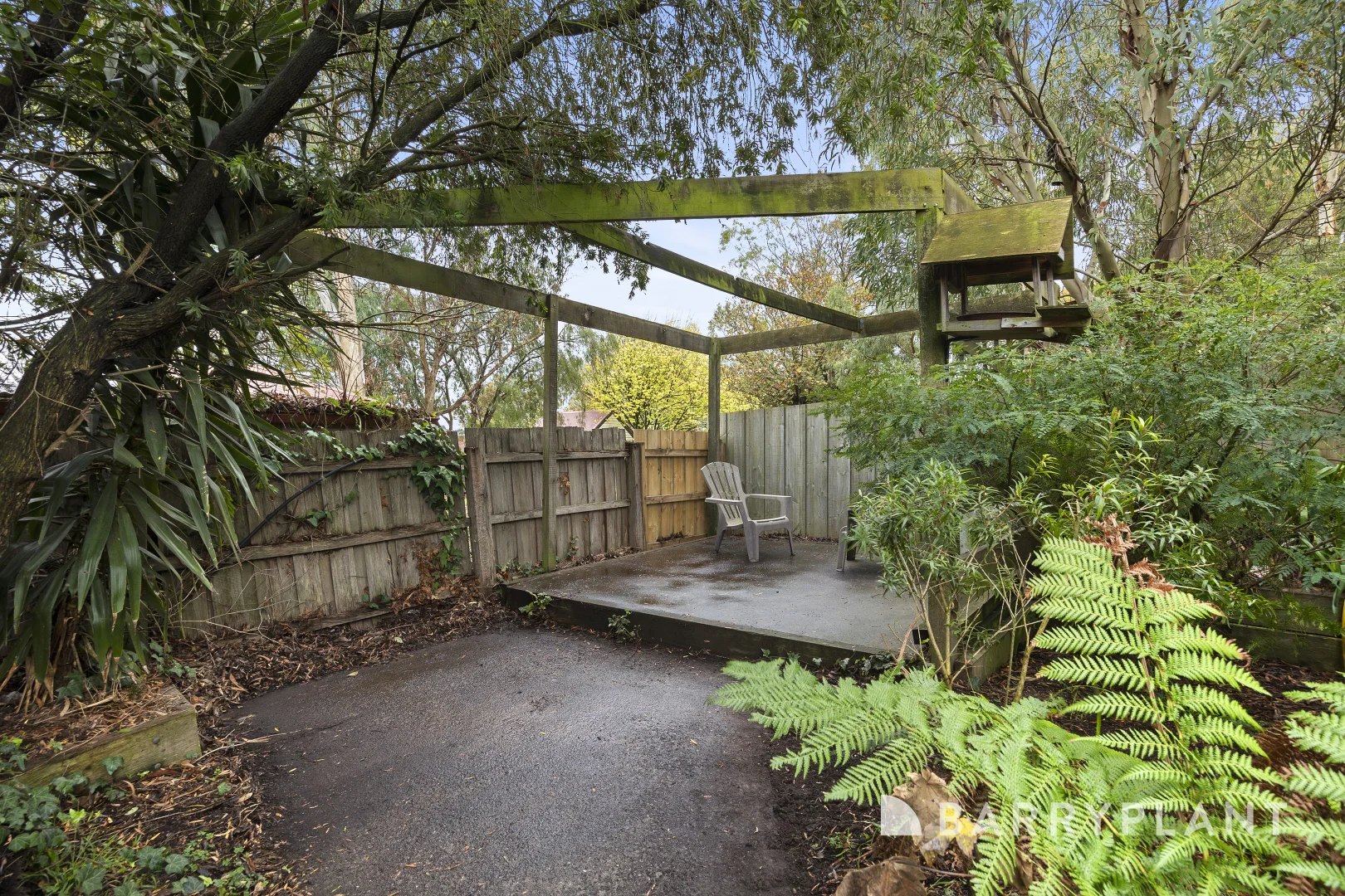 Image 15