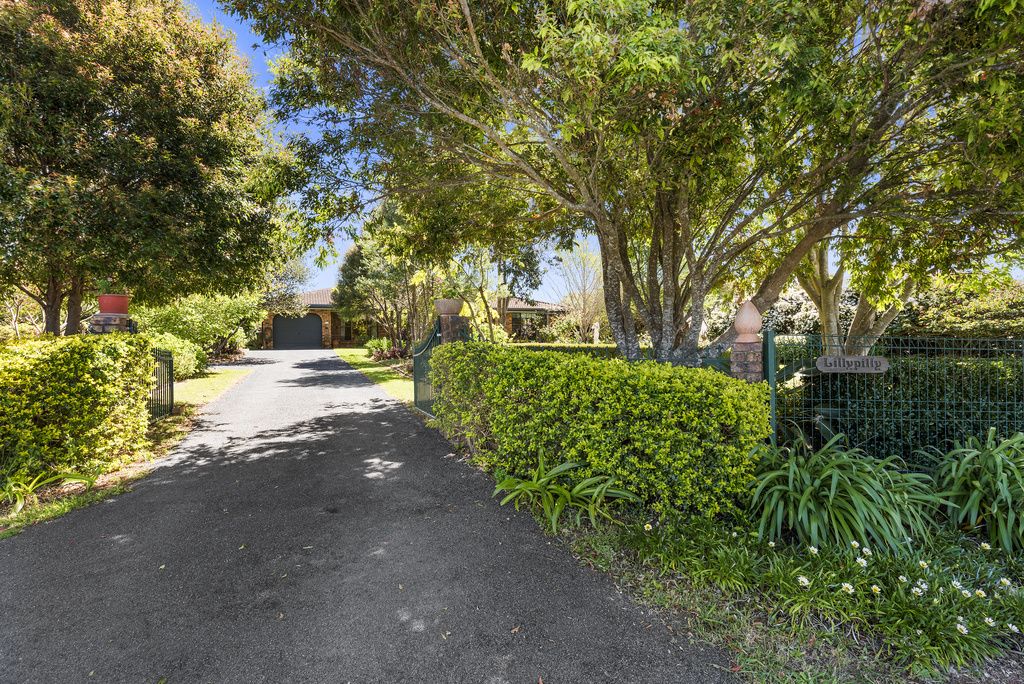 375 Central Bucca Rd, Bucca NSW 2450, Image 0