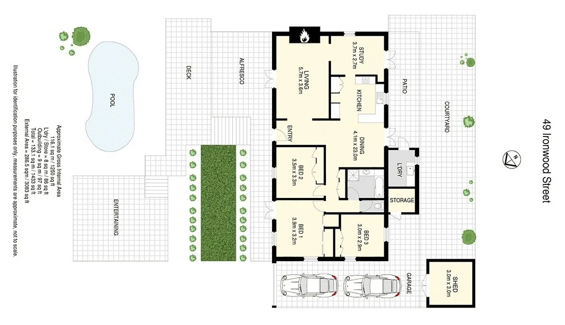 Image 21