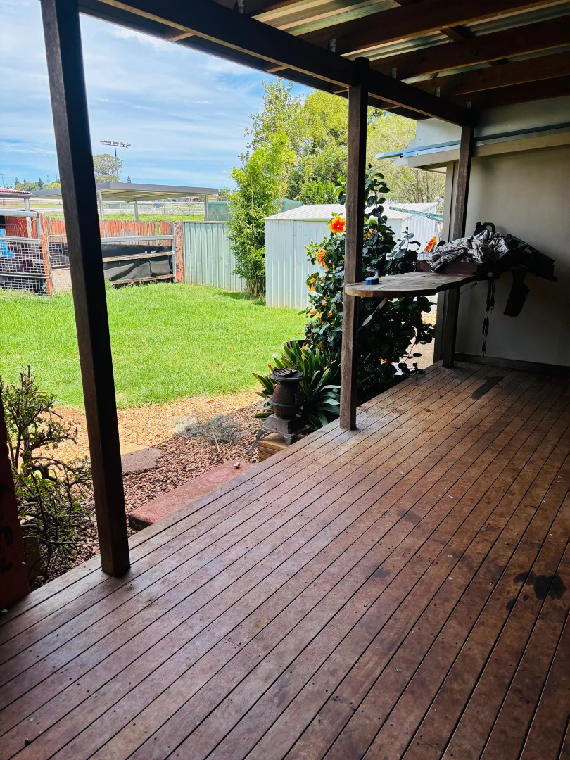 Image 12