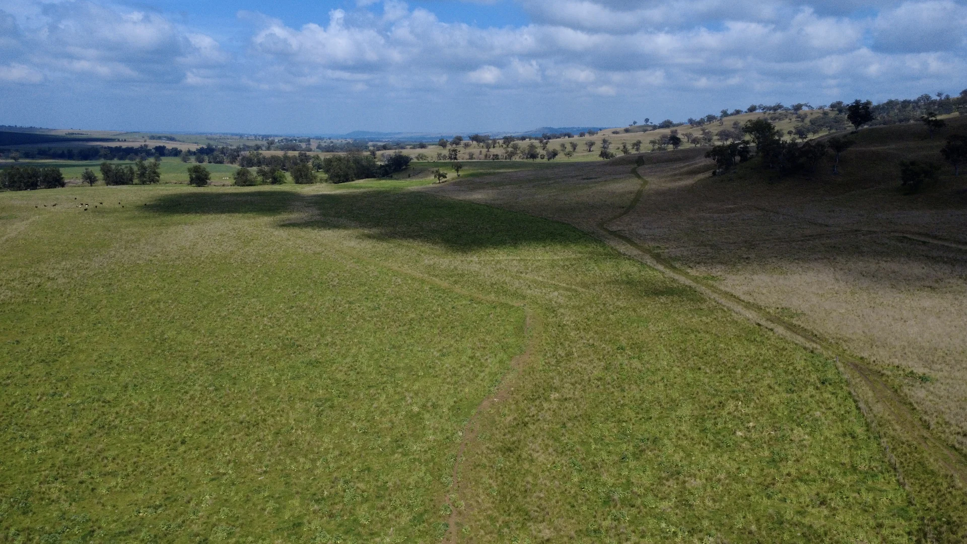 Additional image 9 of "Gummun" Coulsons Creek Road, Merriwa NSW 2329