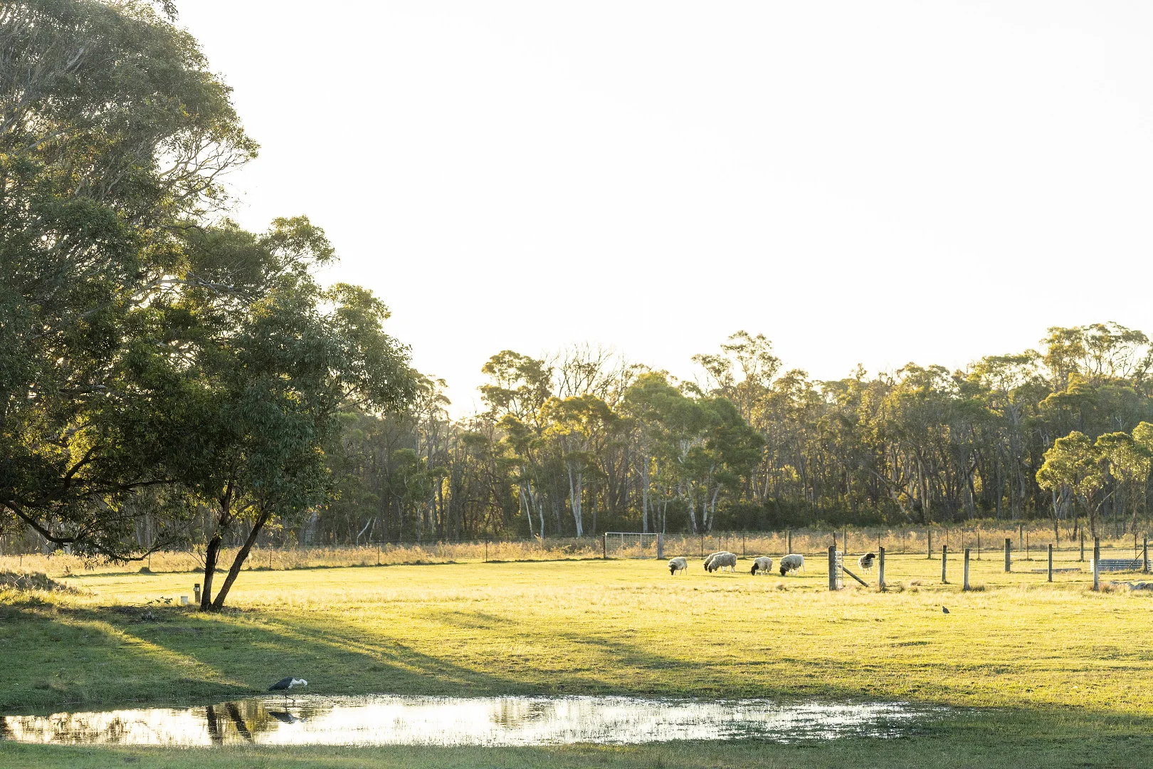 Additional image 31 of 122 Shale Lane, High Range NSW 2575