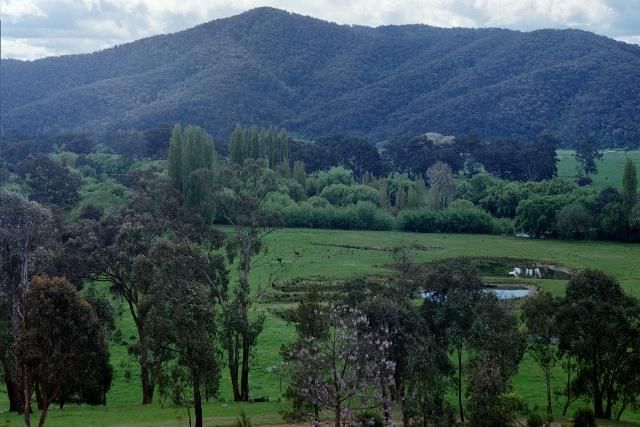 1621 Omeo Highway, Mitta Mitta VIC 3701, Image 0