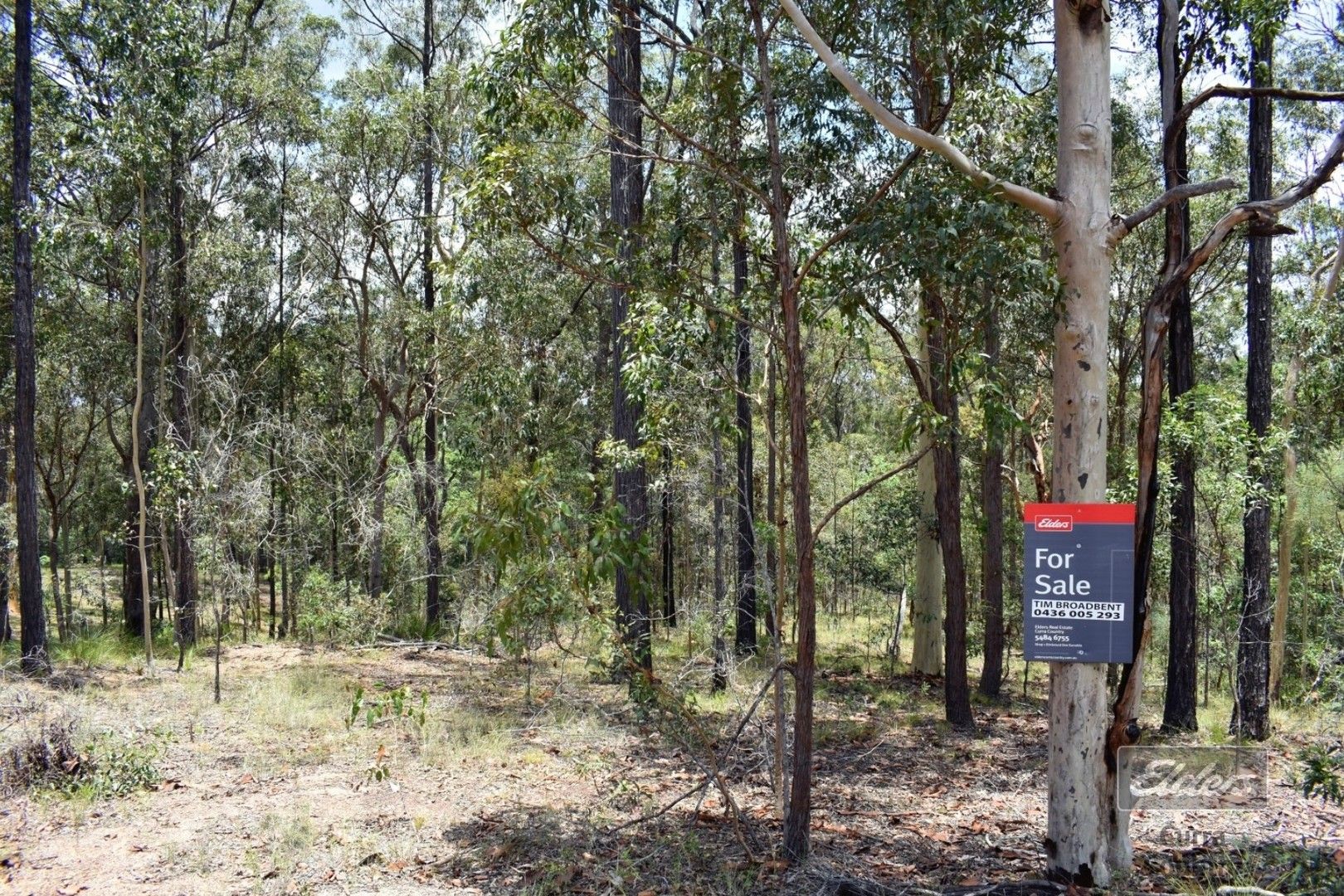 Lot 276 Van Hensbroek Road, Bauple QLD 4650, Image 1