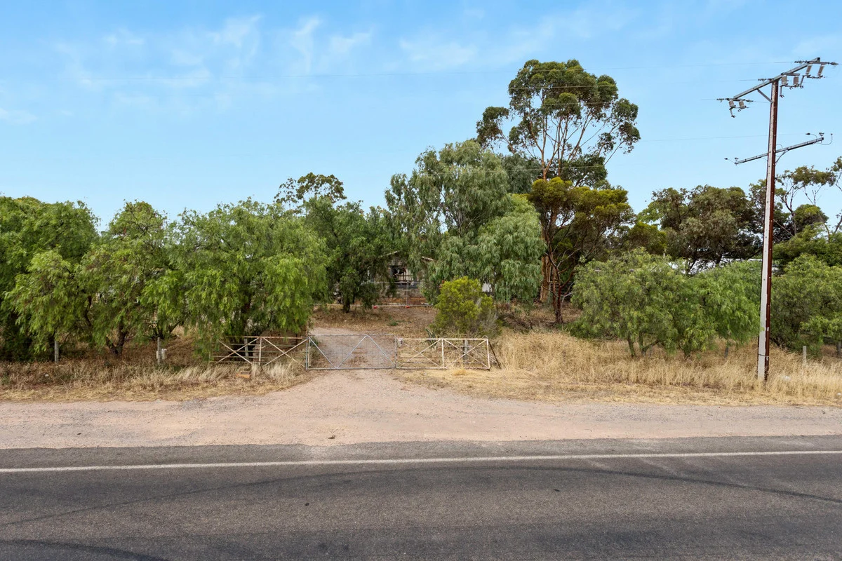 Image 15