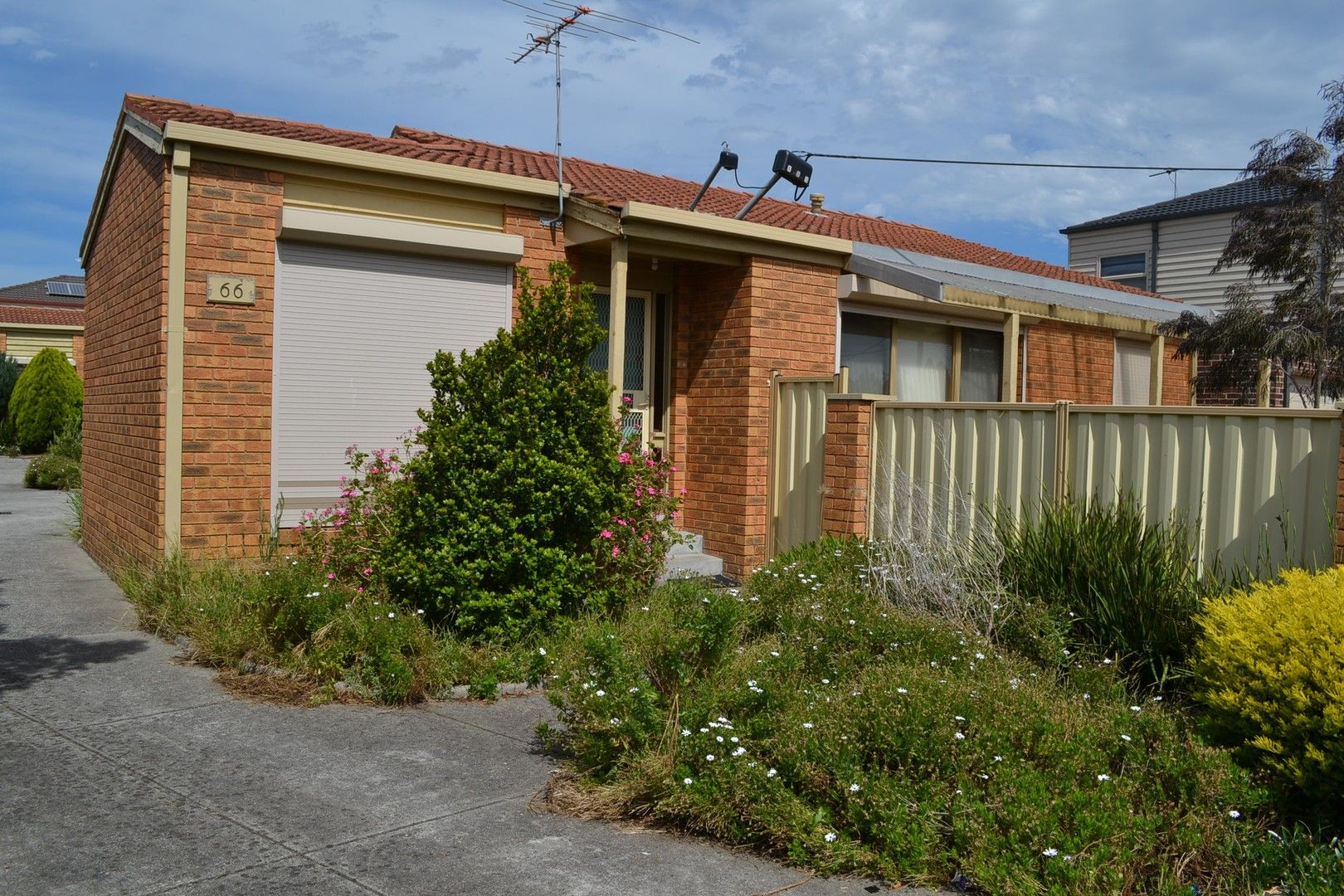 1/66 Cornwall Road, Pascoe Vale VIC 3044 Apartment For Rent Domain