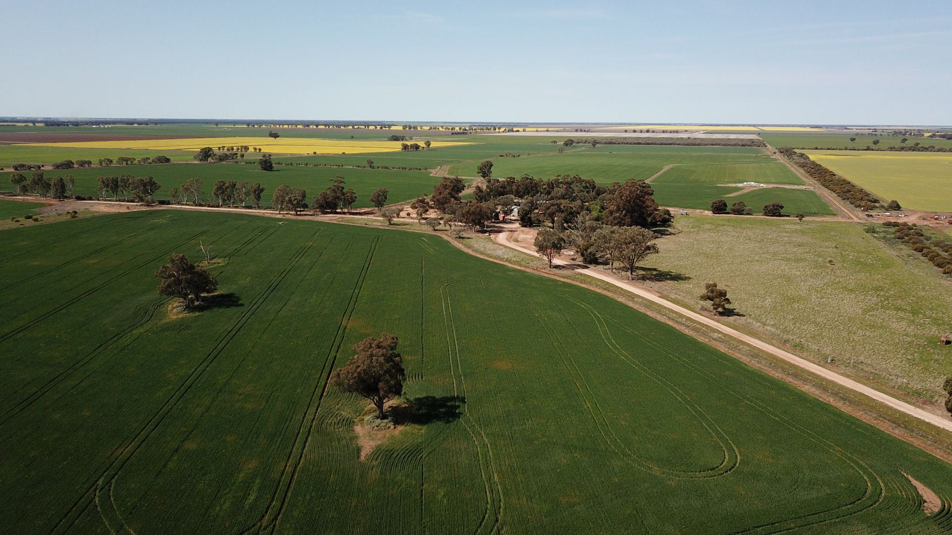 2380 Berrigan Road, Jerilderie NSW 2716, Image 2