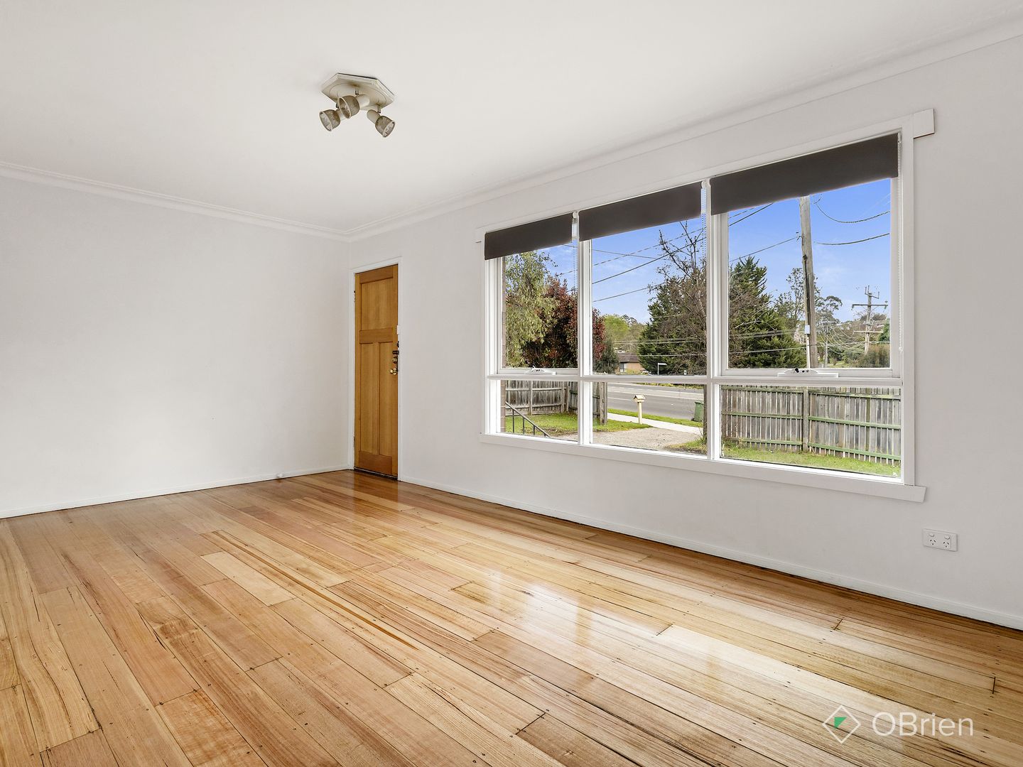 60 Swansea Road, Montrose VIC 3765, Image 2