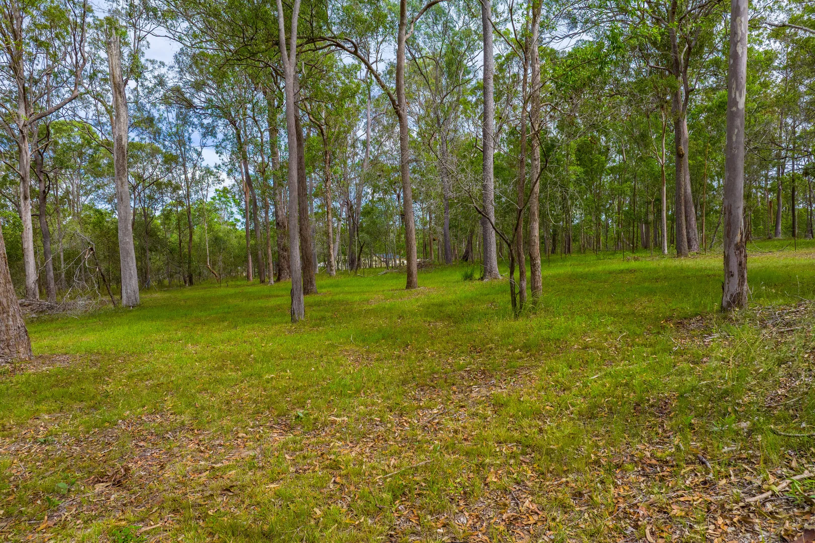 Additional image 20 of 30 Pine Ridge Road, Glenwood QLD 4570