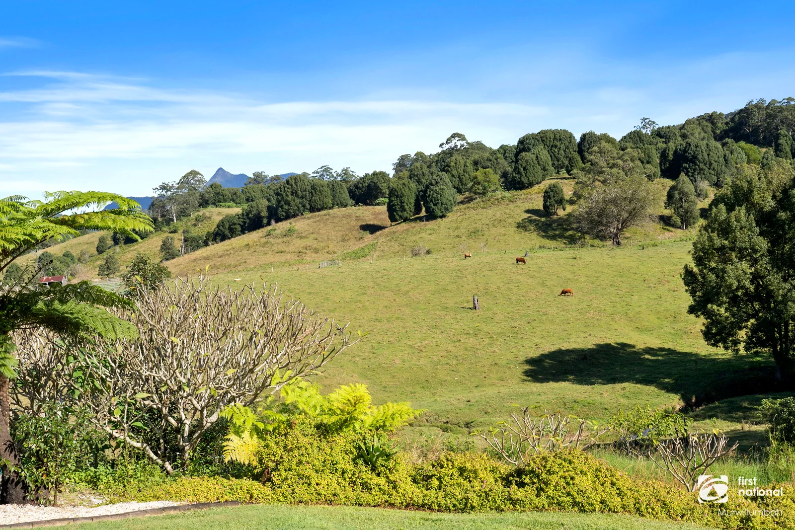 Image 14