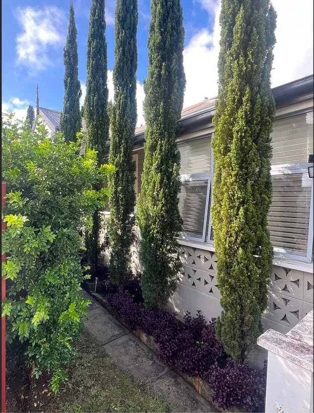 41A Clarke Rd, Hornsby NSW 2077