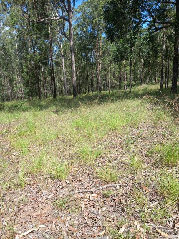 Vacant land in Lot 1 23 Anita Road, BLACKBUTT NORTH QLD, 4314