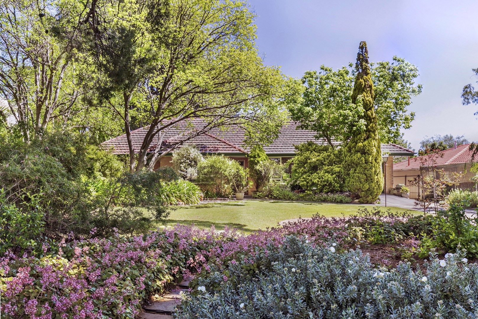 14 Thorpe Street, Torrens Par Property History & Address Research Domain