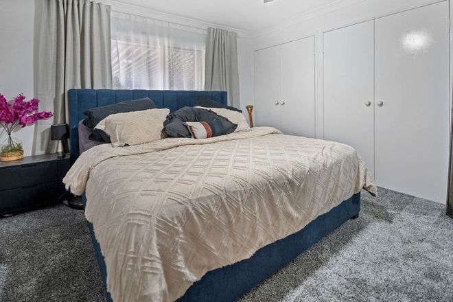 5 Onyx Place Springfield 4300 - Image 6