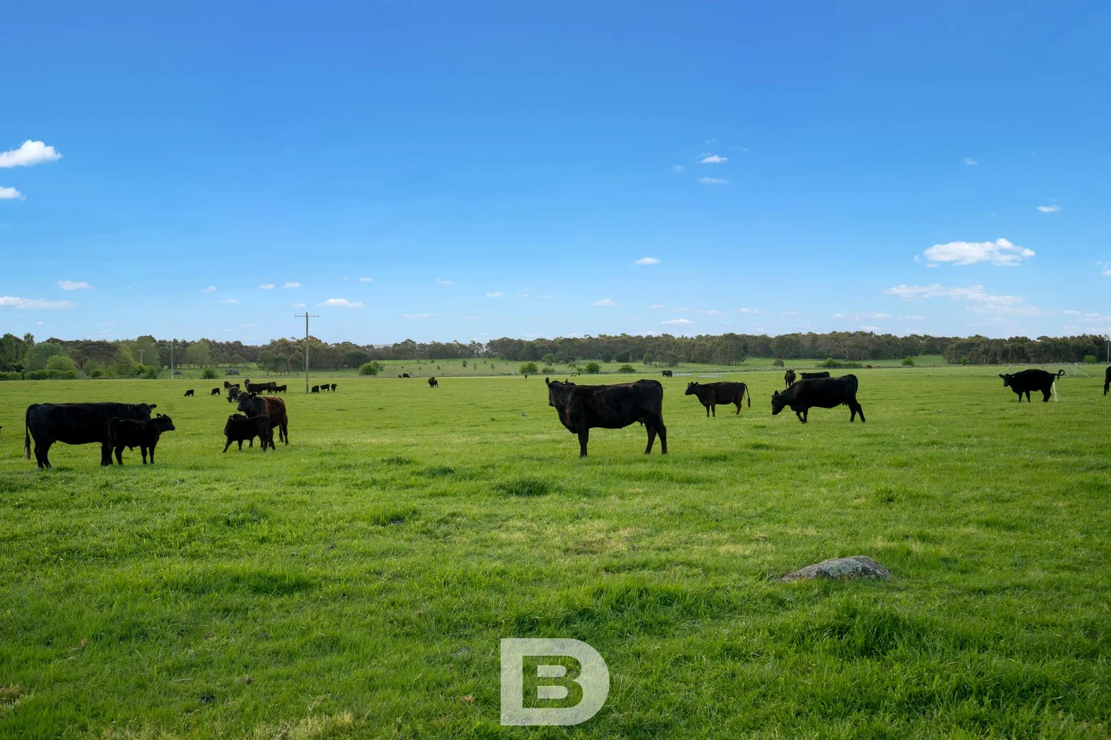 Additional image 25 of Malmsbury VIC 3446