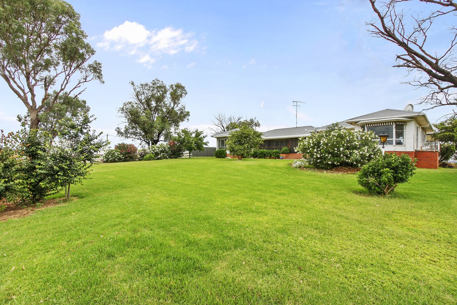 194 Meadows Lane, Tamworth NSW 2340 Farm for Sale 2,050,000