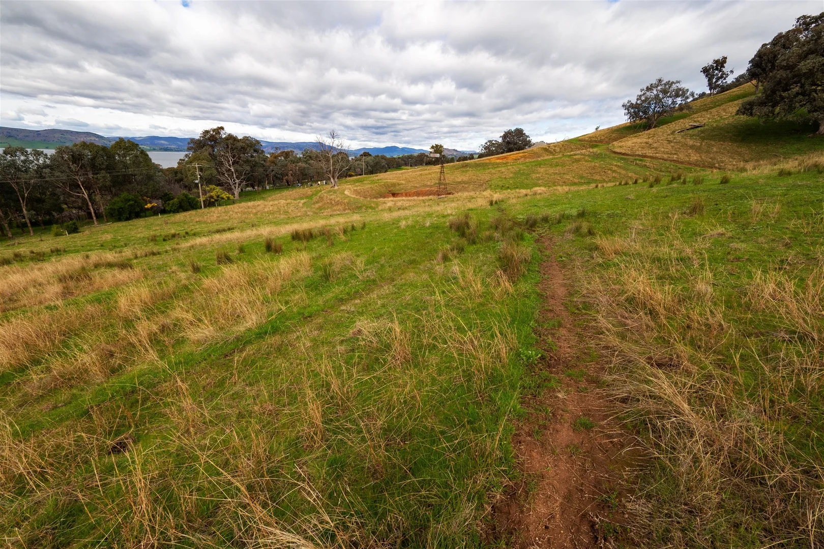 Image 13
