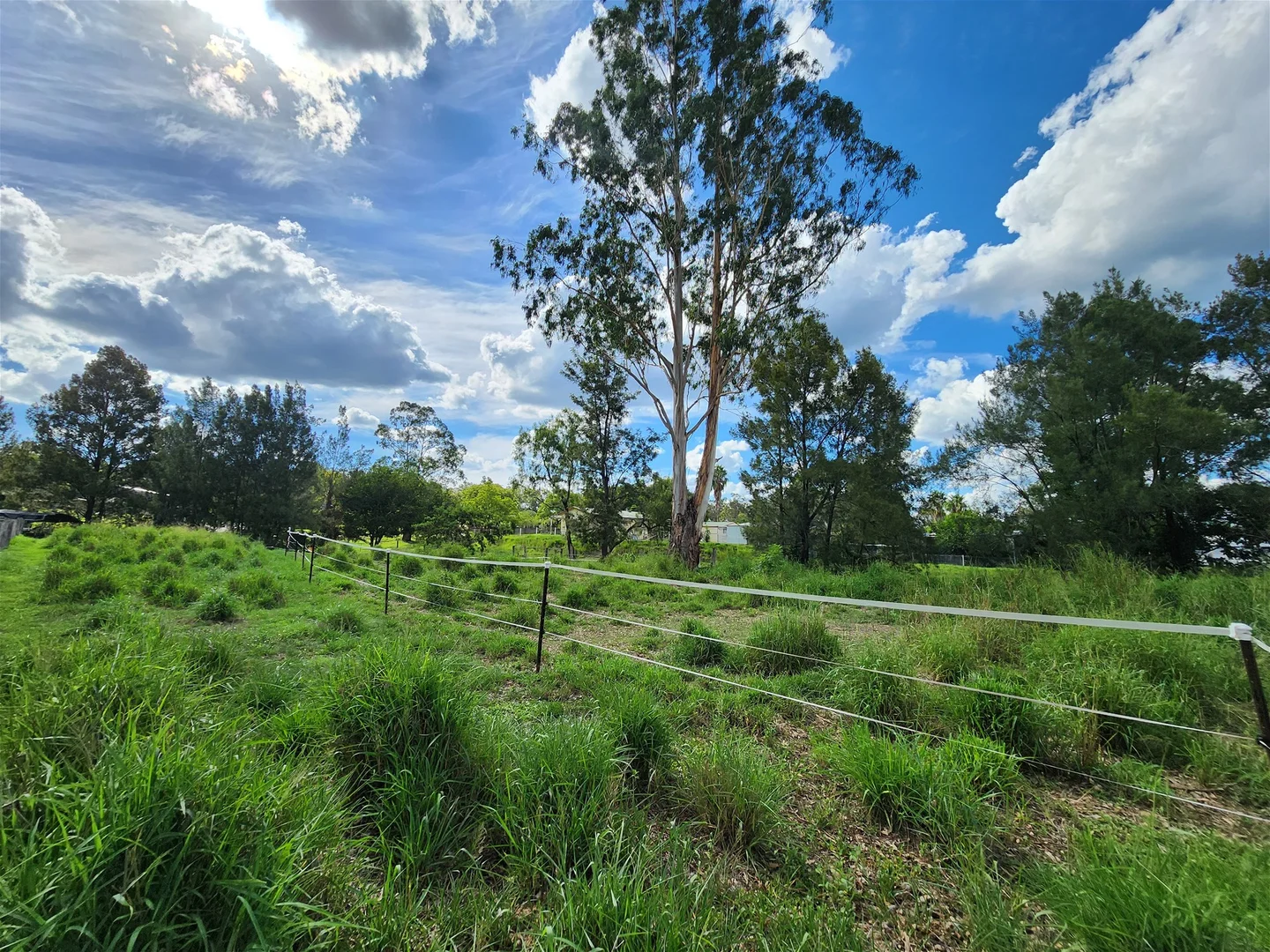 Additional image 10 of 6 Parkridge Drive, Withcott QLD 4352