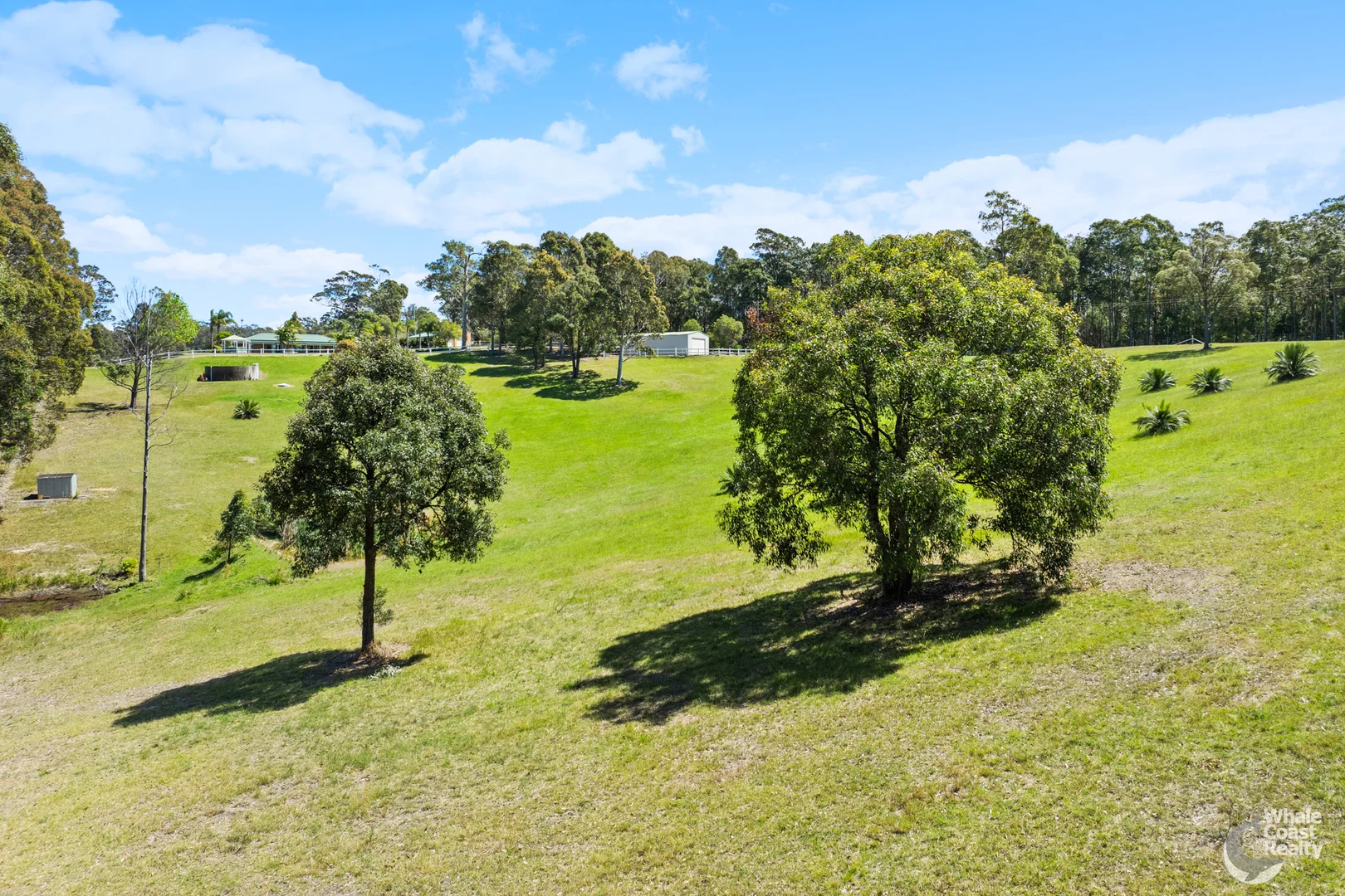 39 Wonga Road, Narooma NSW 2546 - House for Sale | Domain
