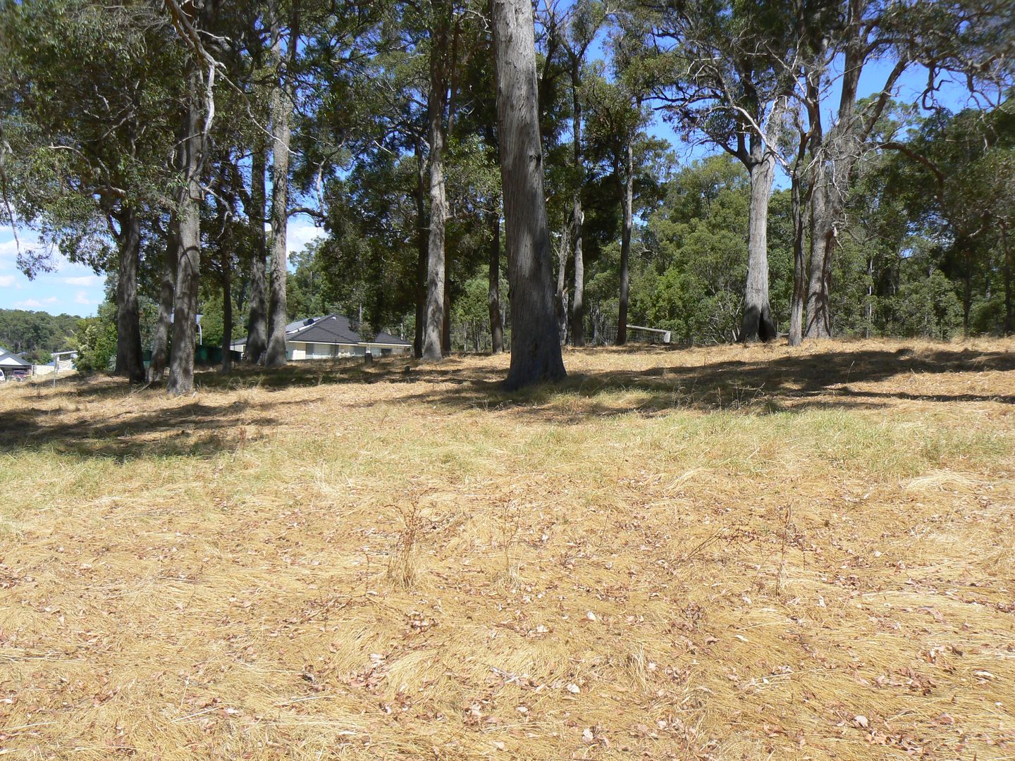 57 Thomson Street, Donnybrook WA 6239 Vacant Land for Sale Domain