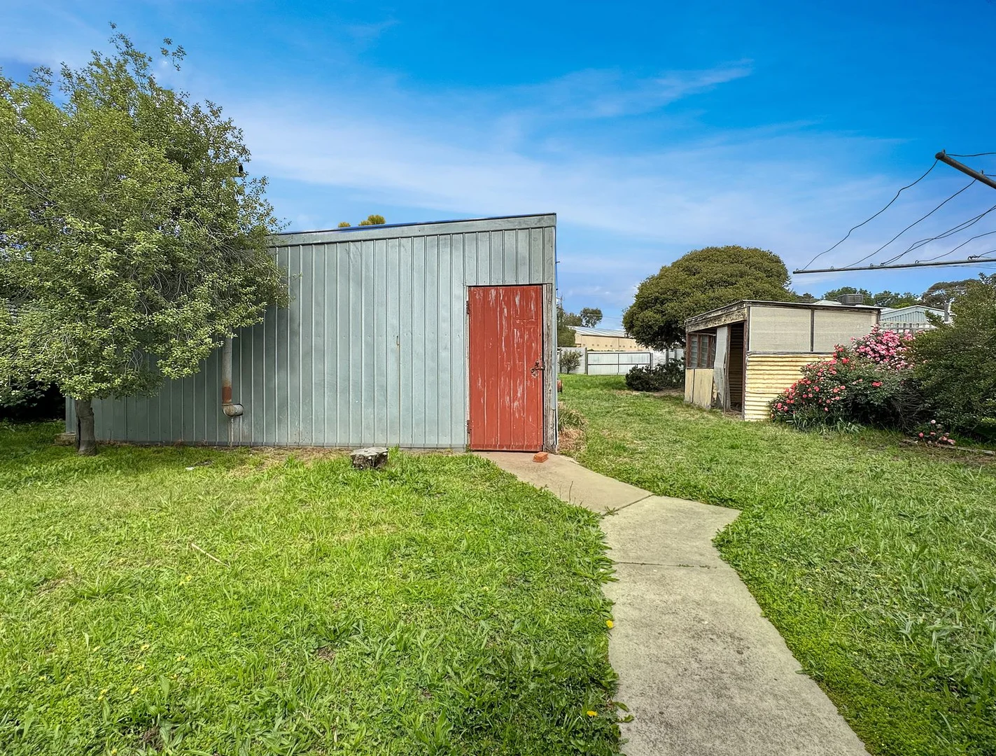 Image 11