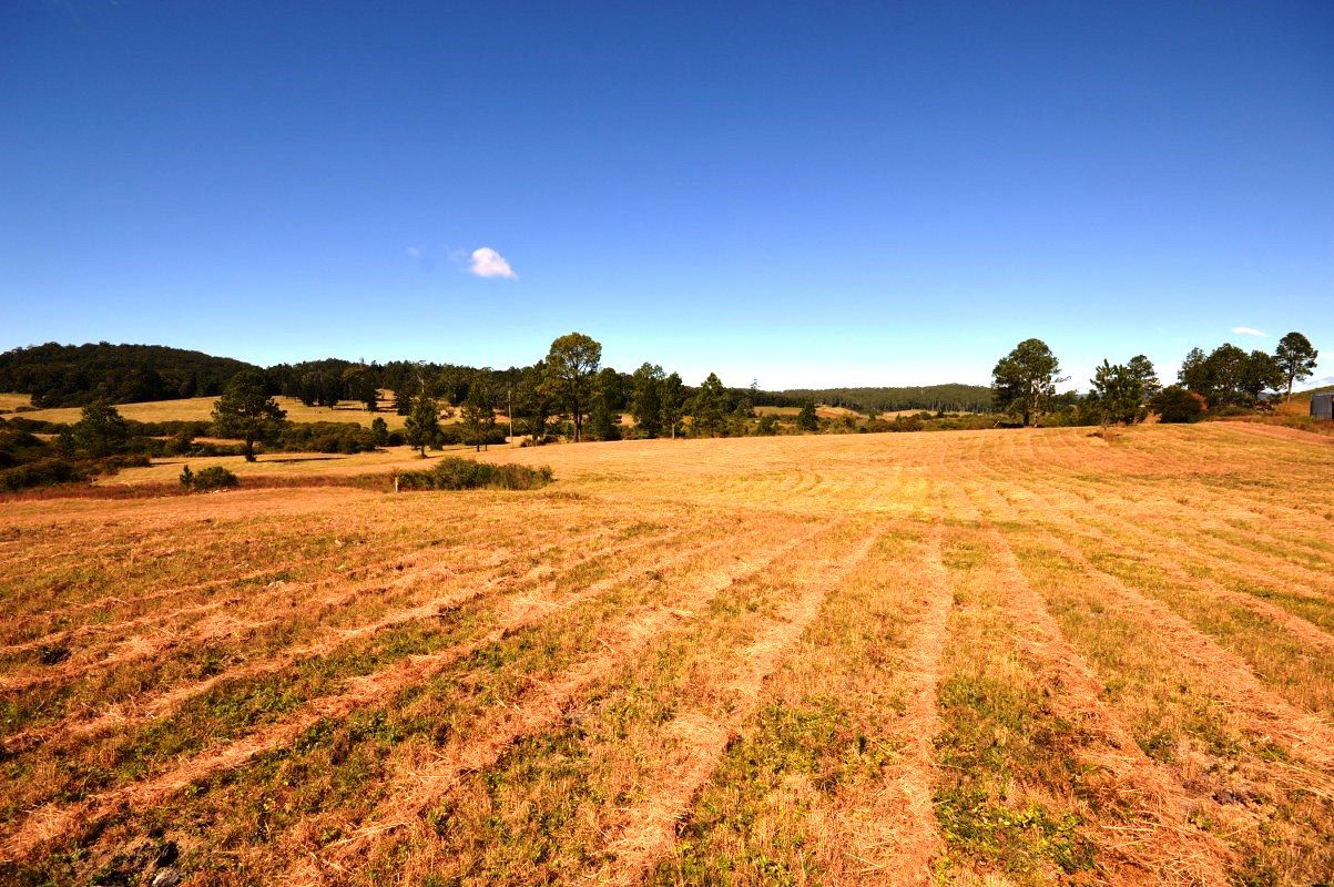 Lot 13 Cavanaghs Road, Lowanna NSW 2450, Image 1