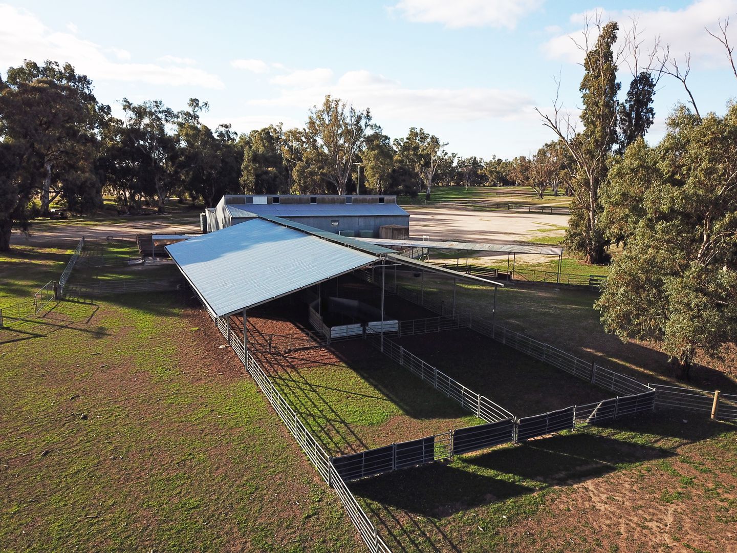 Balpool Road, Moulamein NSW 2733 House for Sale Domain