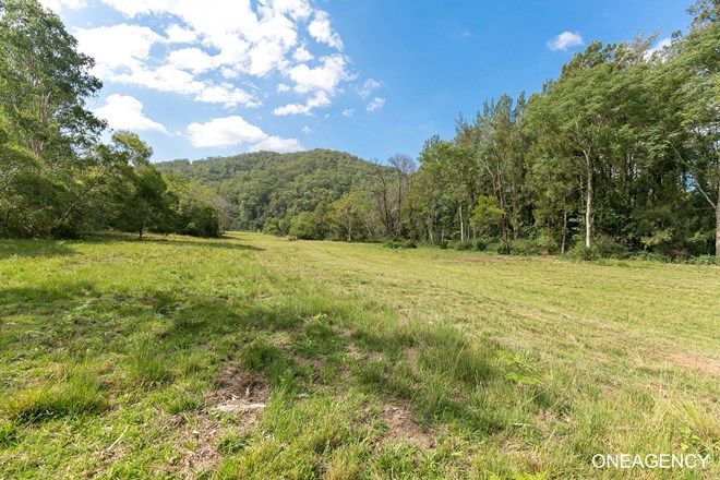 Picture of 312 Eight Mile Creek Road, WITTITRIN NSW 2440