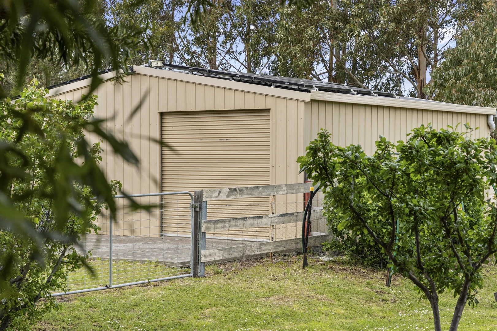 Image 21