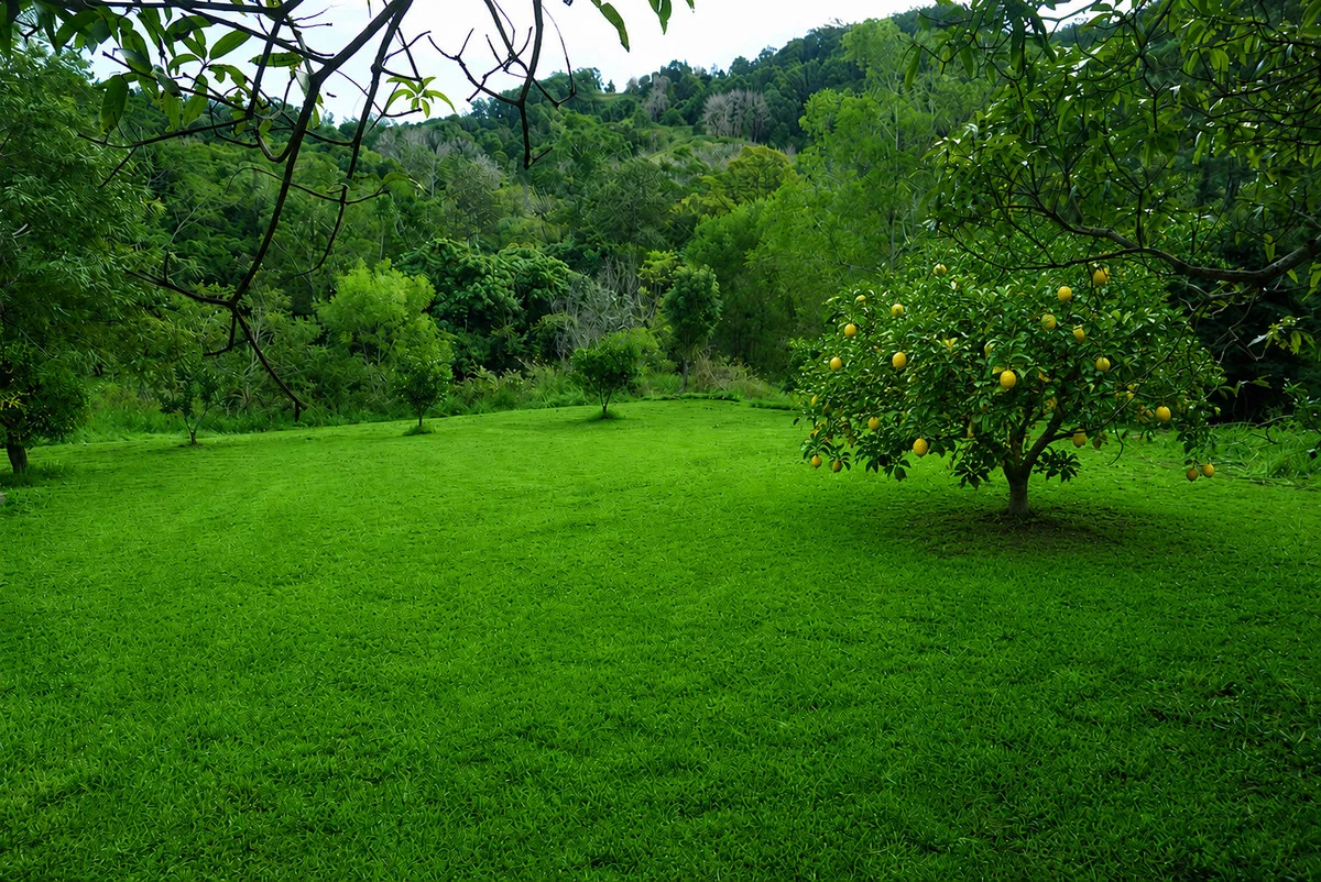 Image 34