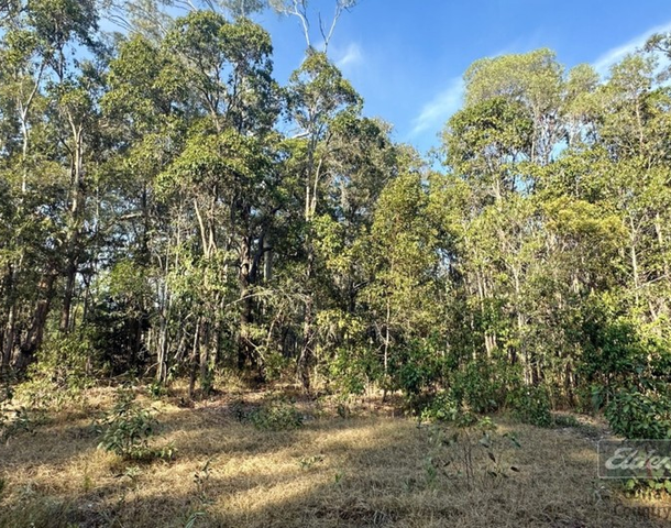 Lot 169 Forestry Road, Bauple Forest QLD 4650