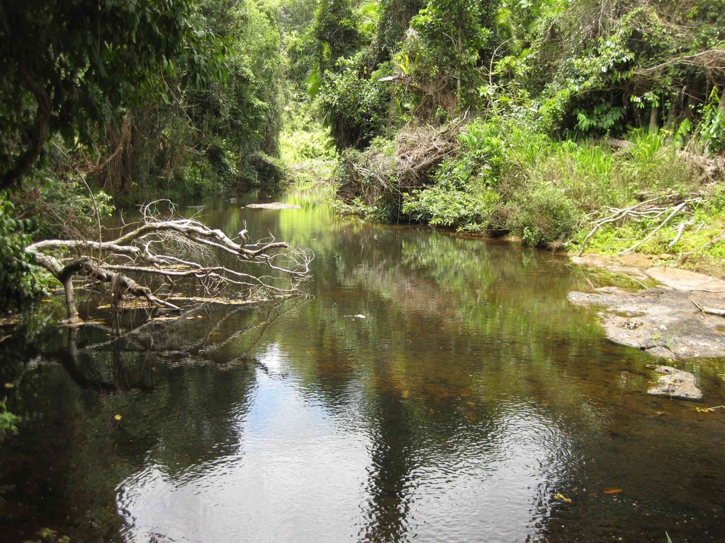 Camp Creek QLD 4871, Image 0