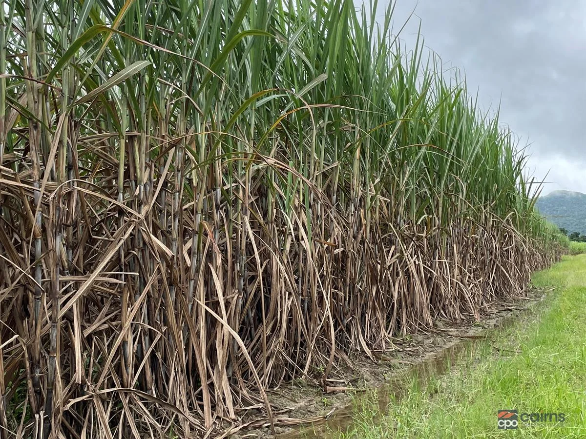 Additional image 16 of 101 Bruce Highway, Bellenden Ker QLD 4871