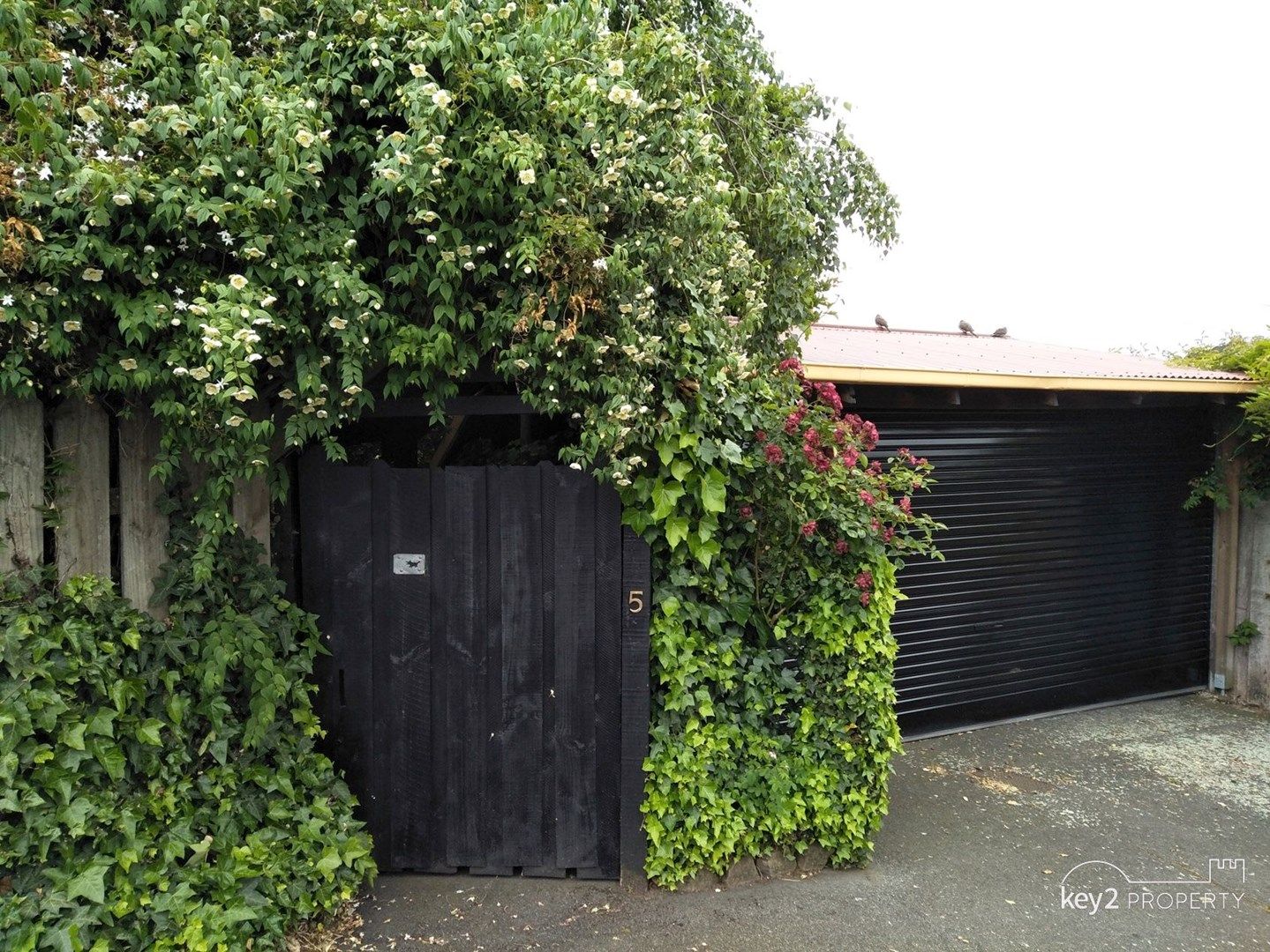 5 Walter Street, South Launceston TAS 7249, Image 0