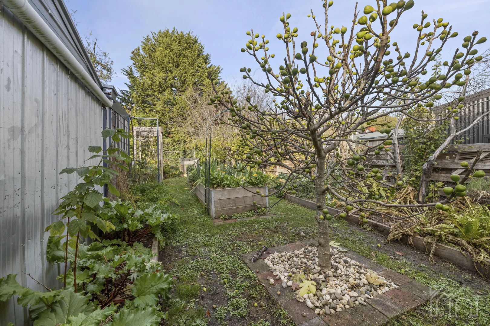 Image 28