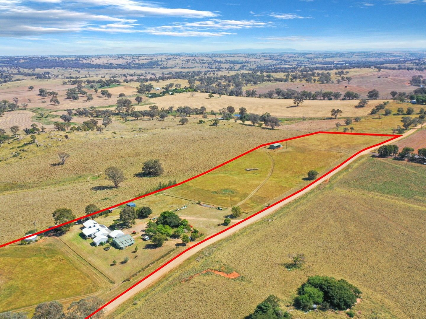 438 Wickham Lane, Young NSW 2594, Image 1