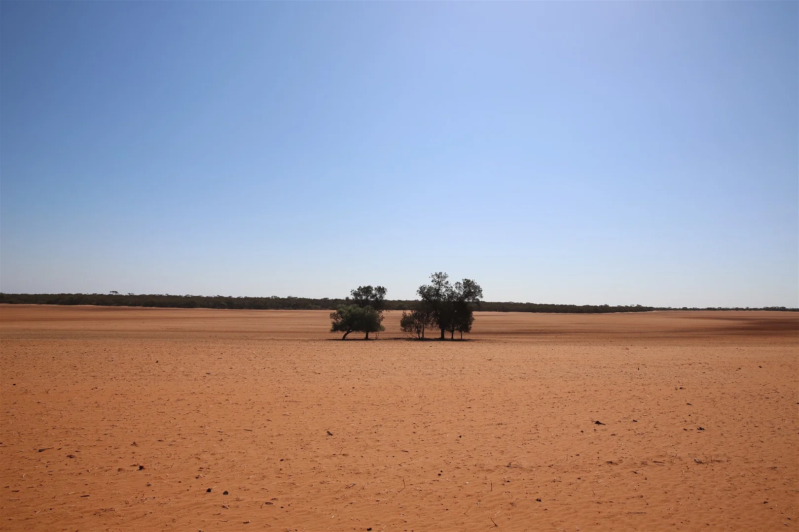 Image 19