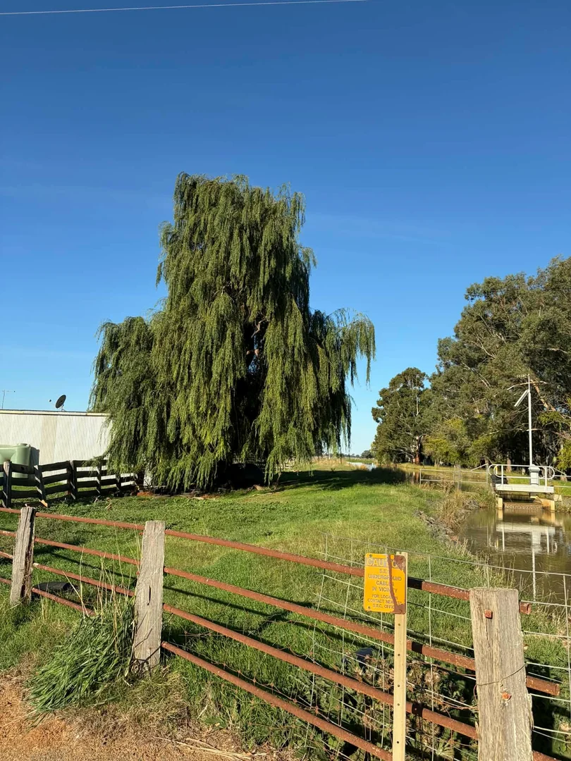 Additional image 26 of 78 Nicholson Lane, Kotta VIC 3565