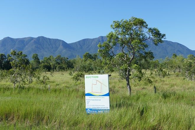 Picture of Lot 4 Hamilton Road, CARRUCHAN QLD 4816