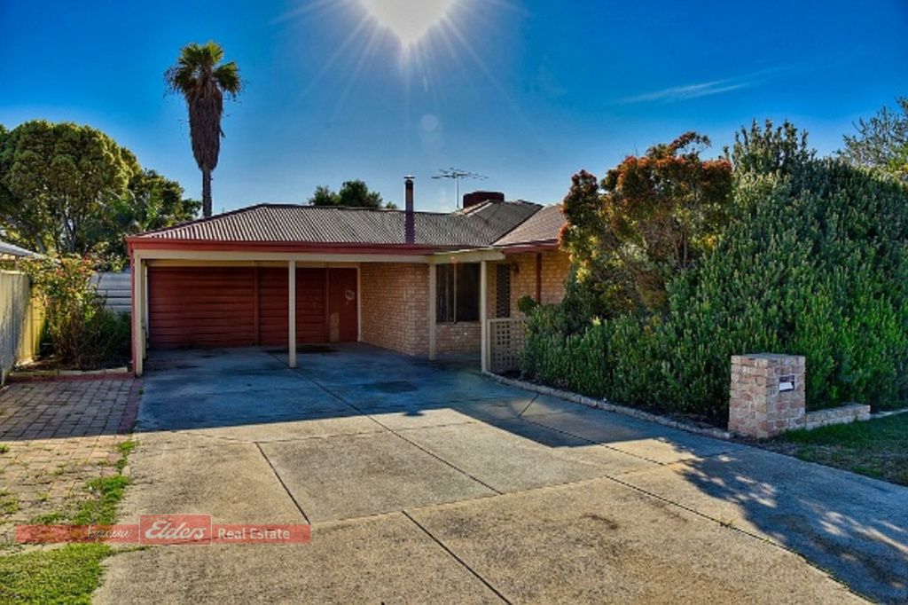 7 Torrens Drive, Waikiki WA 6169 House For Rent Domain