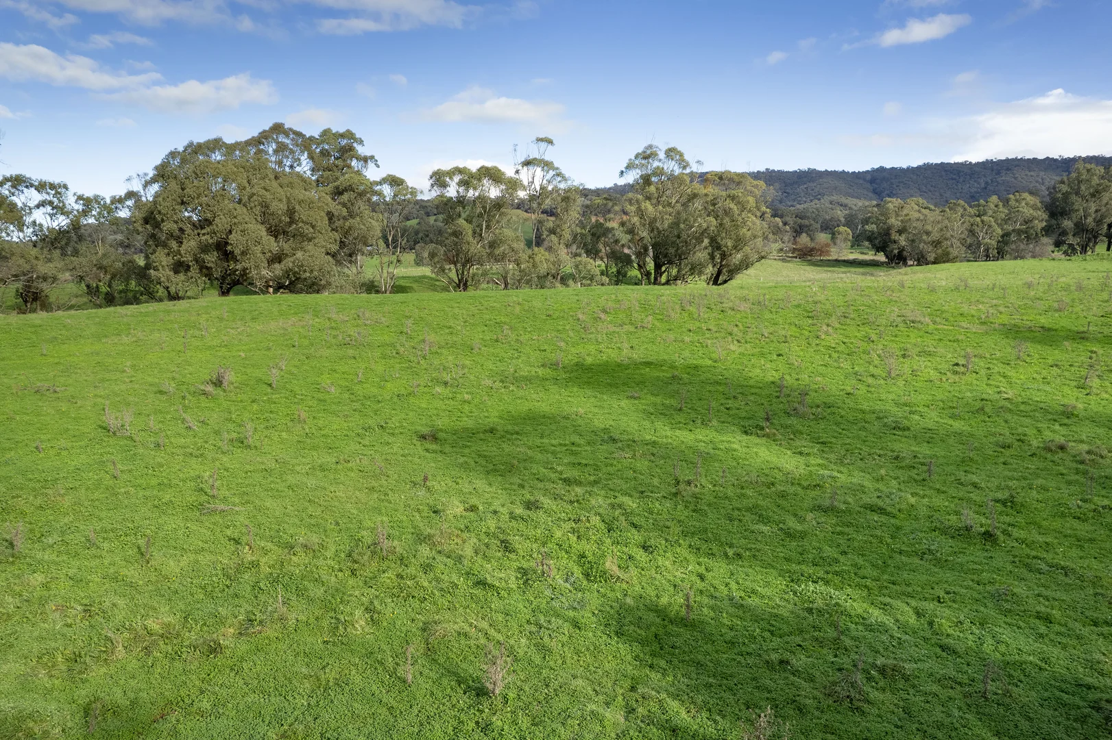 Image 14