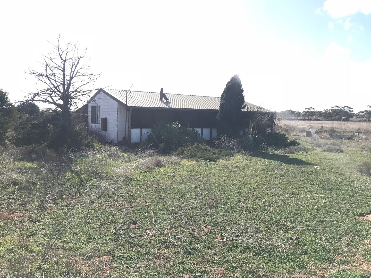 41 Haynes Road, Beaufort SA 5550, Image 2