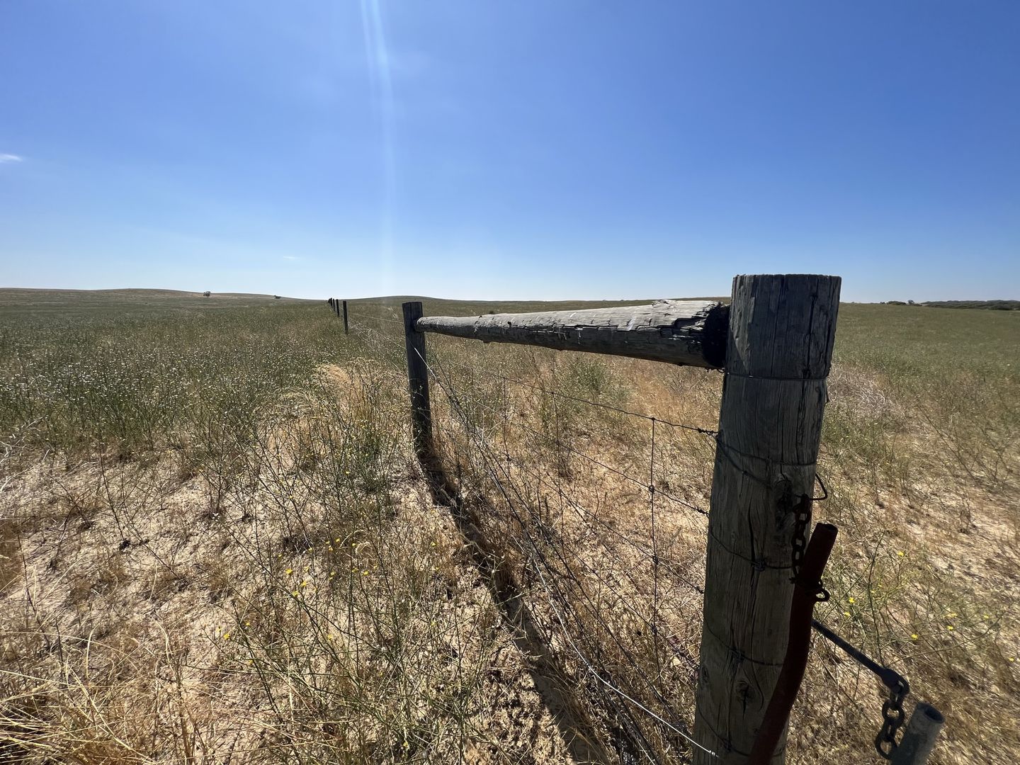 100 Mead Road, Lameroo SA 5302 House for Sale Domain